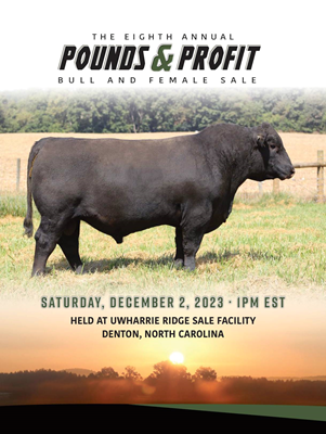 Pounds & Profit Bull & Female Sale book cover