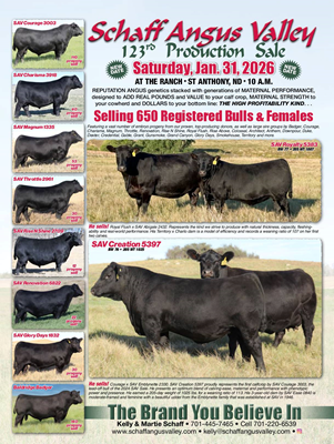 Sale Book Cover thumbnail