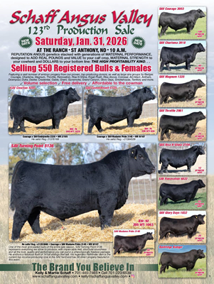 Sale Book Cover thumbnail