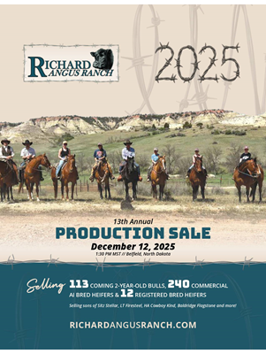 13th Annual Production Sale Book cover