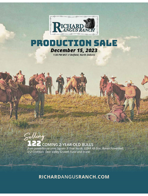 11th Annual Production Sale Book cover