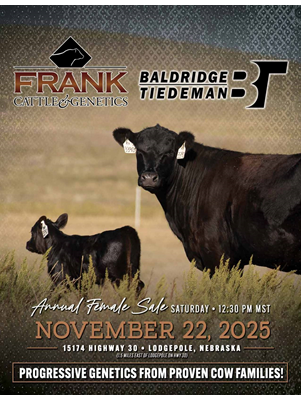 Sale Book Cover Thumbnail