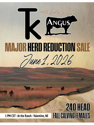 TK Angus Sale Book thumbnail