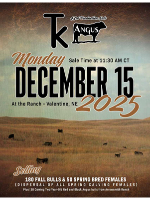 TK Angus Sale Book thumbnail