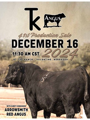 TK Angus Sale Book thumbnail