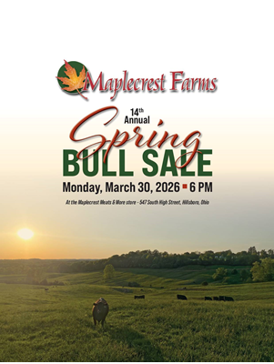 Sale book cover thumbnail