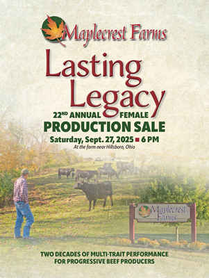 Sale book cover thumbnail