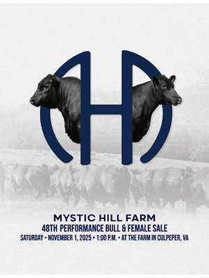 2025 Bull and Female Sale Ad