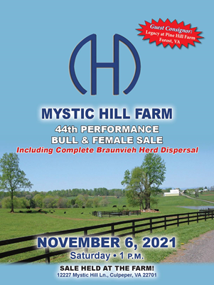 Sale Book Cover thumbnail